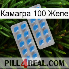 Камагра 100 Желе 23